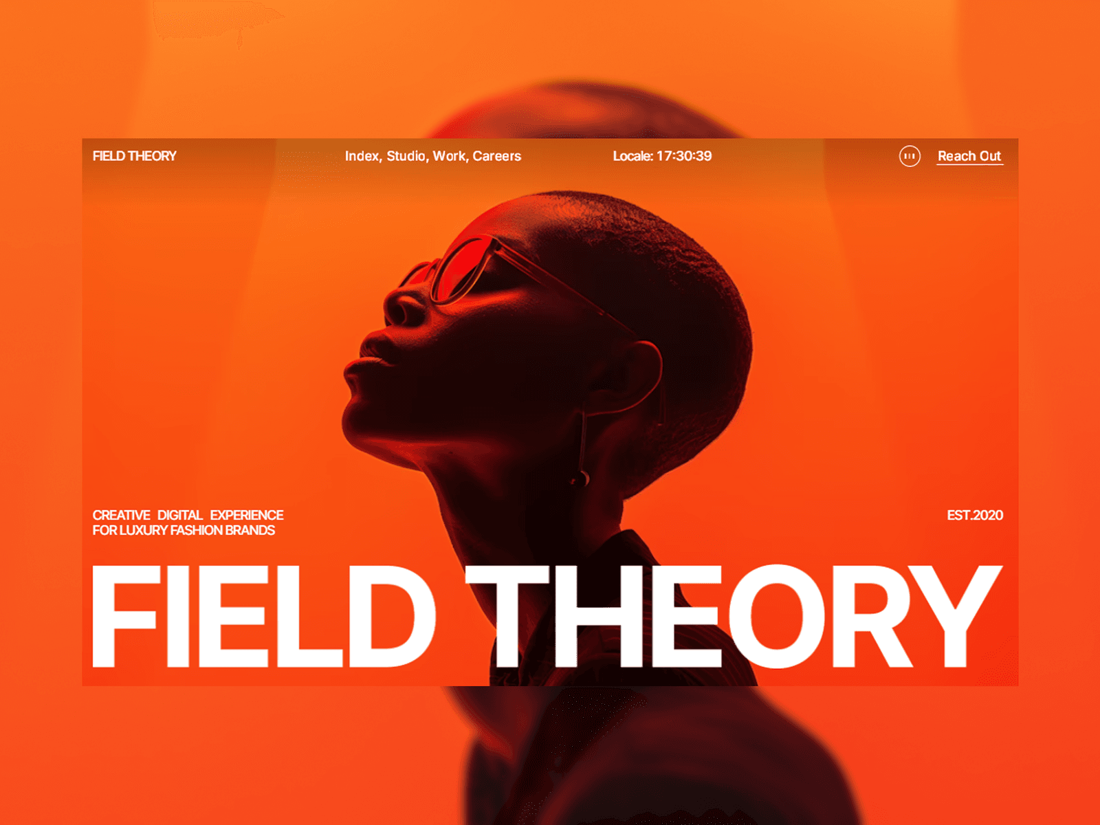 Field Theory template cover